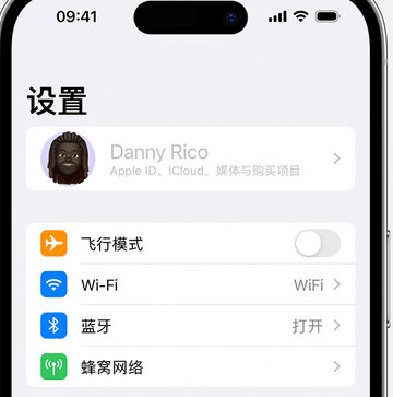 仪陇appleID维修服务iPhone设置中Apple ID显示为灰色无法使用