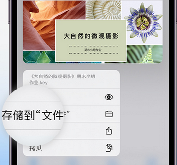 仪陇apple维修中心分享iPhone文件应用中存储和找到下载文件