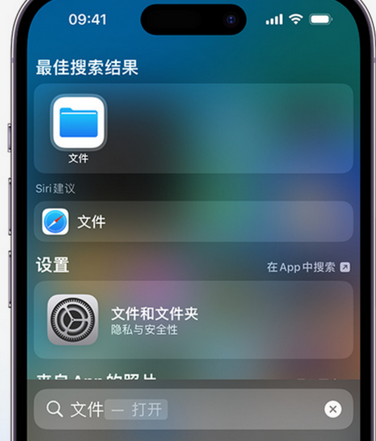 仪陇apple维修中心分享iPhone文件应用中存储和找到下载文件