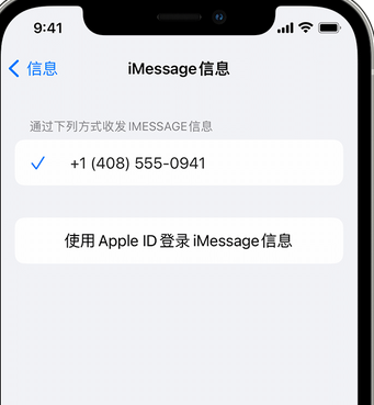 仪陇apple维修iPhone上无法正常发送iMessage信息 