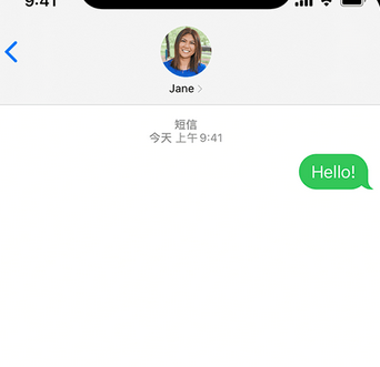 仪陇apple维修iPhone上无法正常发送iMessage信息