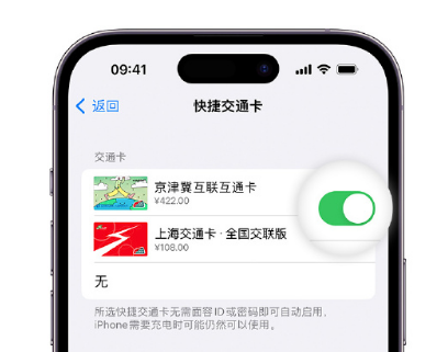 仪陇apple维修点分享iPhone上更换Apple Pay快捷交通卡手绘卡面 