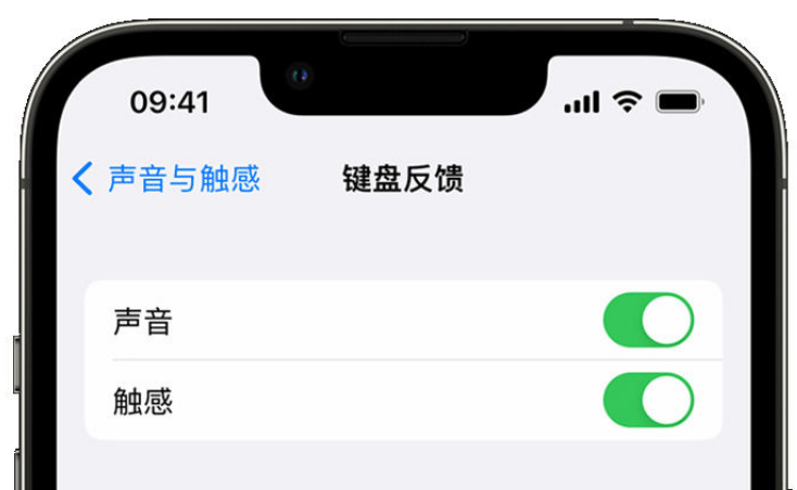 仪陇苹果手机维修分享iPhone 14触感键盘使用方法 