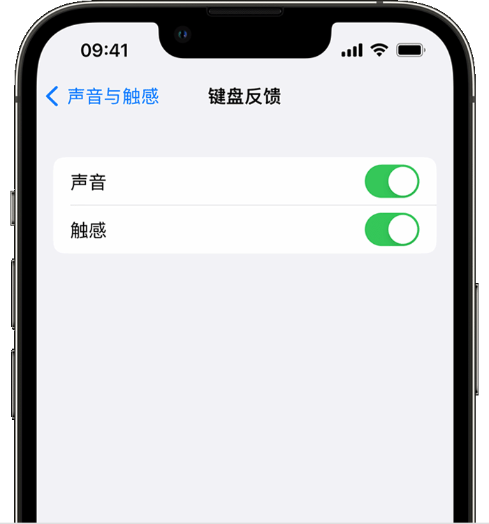 仪陇苹果14维修店分享如何在 iPhone 14 机型中使用触感键盘 