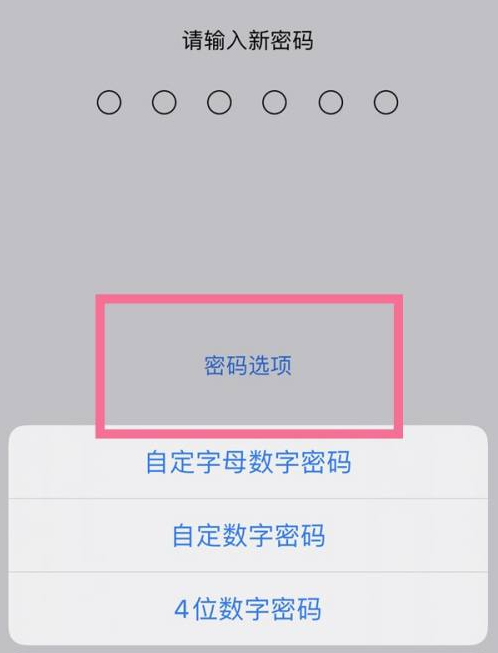 仪陇苹果14维修分享iPhone 14plus设置密码的方法 