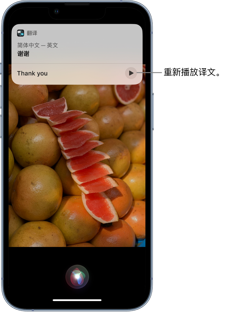 仪陇苹果14维修分享 iPhone 14 机型中使用 Siri：了解 Siri 能帮你做什么 