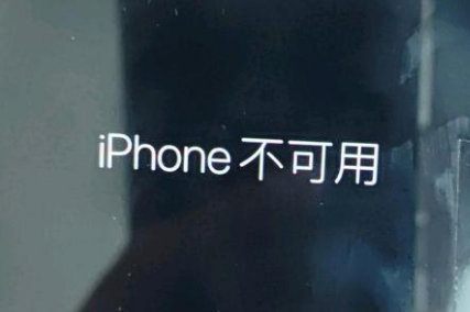 仪陇苹果服务网点分享锁屏界面显示“iPhone 不可用”如何解决 