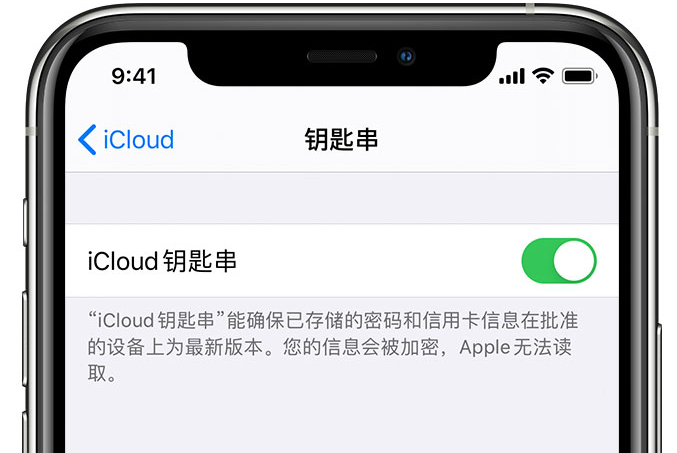 仪陇苹果手机维修分享在 iPhone 上开启 iCloud 钥匙串之后会储存哪些信息 