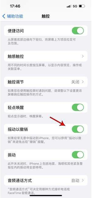 仪陇苹果手机维修分享iPhone手机如何设置摇一摇删除文字 