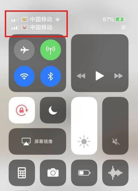 仪陇苹果手机维修分享为 iPhone 12 双卡设置标签 