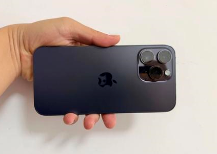 仪陇苹果维修点分享iPhone 14 Pro Max黑屏少见故障盘点 